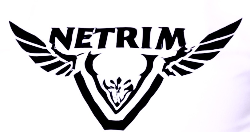 NetRim Archive Image